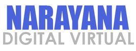 narayanavis.com